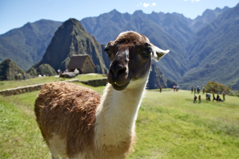 10 curiosidades sobre Machu Picchu